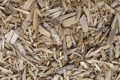 biomass boilers Rickney