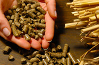 free Rickney biomass boiler quotes
