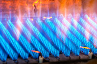 Rickney gas fired boilers
