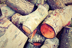 Rickney wood burning boiler costs